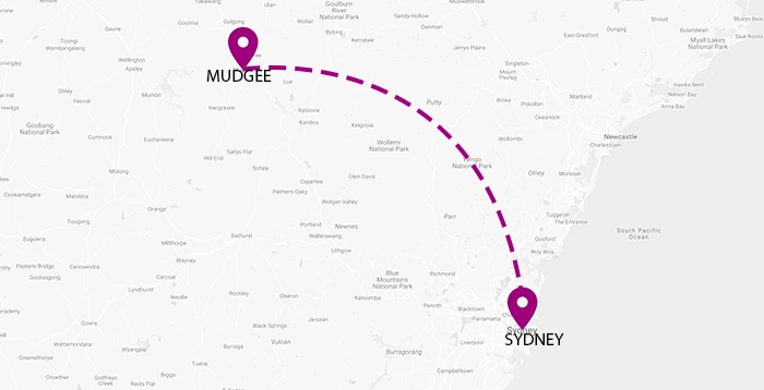 Sydney to Mudgee Removalists